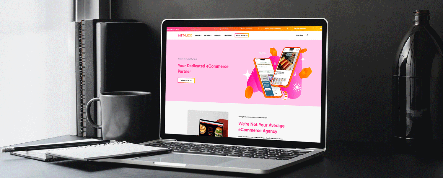 Netalico's new website from the rebrand