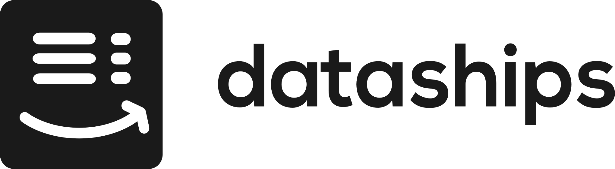 DataShips logo