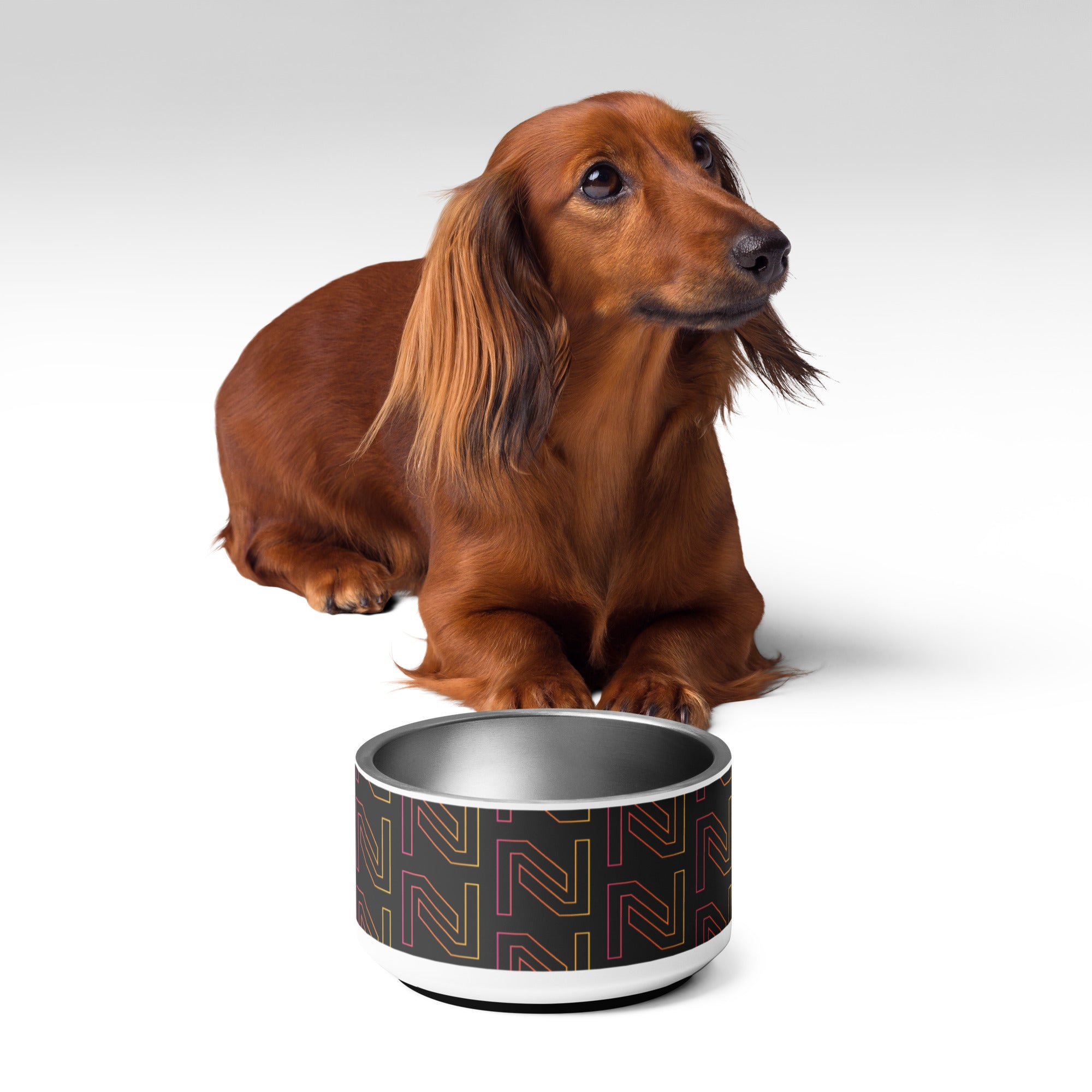 Netalico Pet Bowl