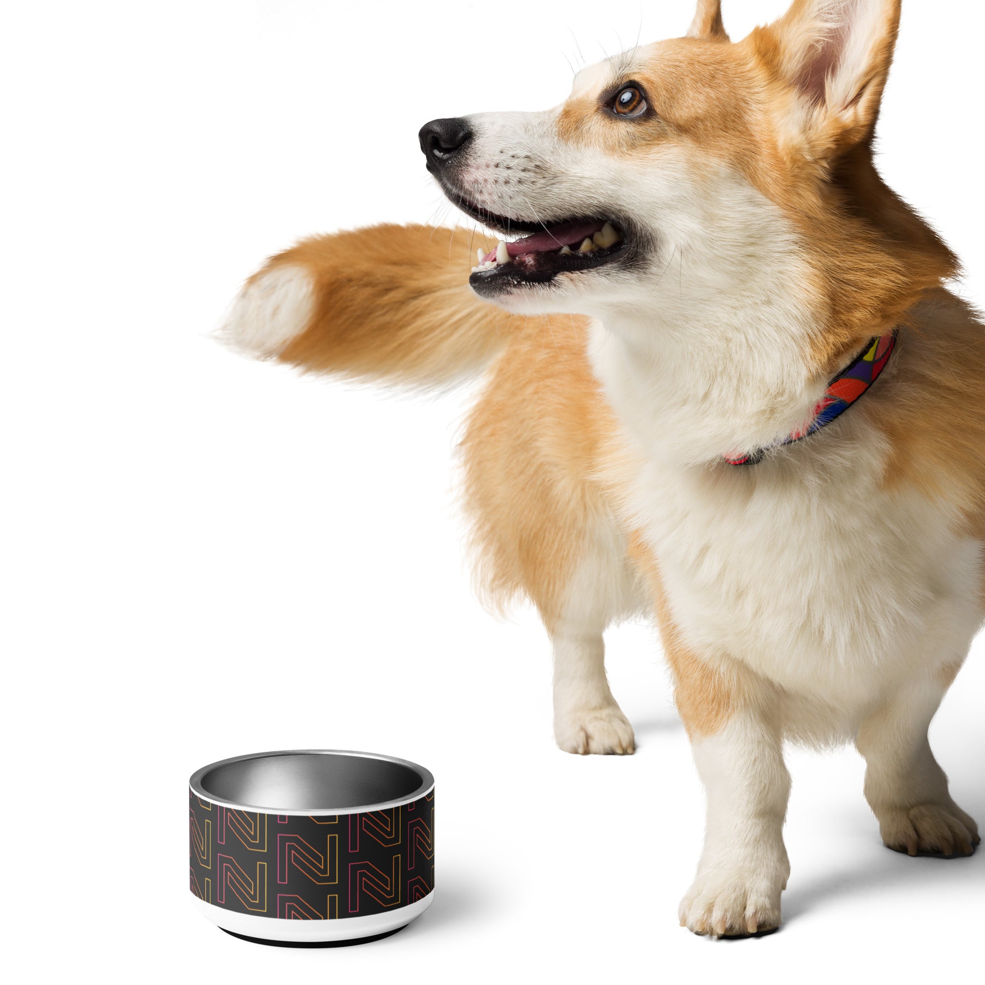 Netalico Pet Bowl