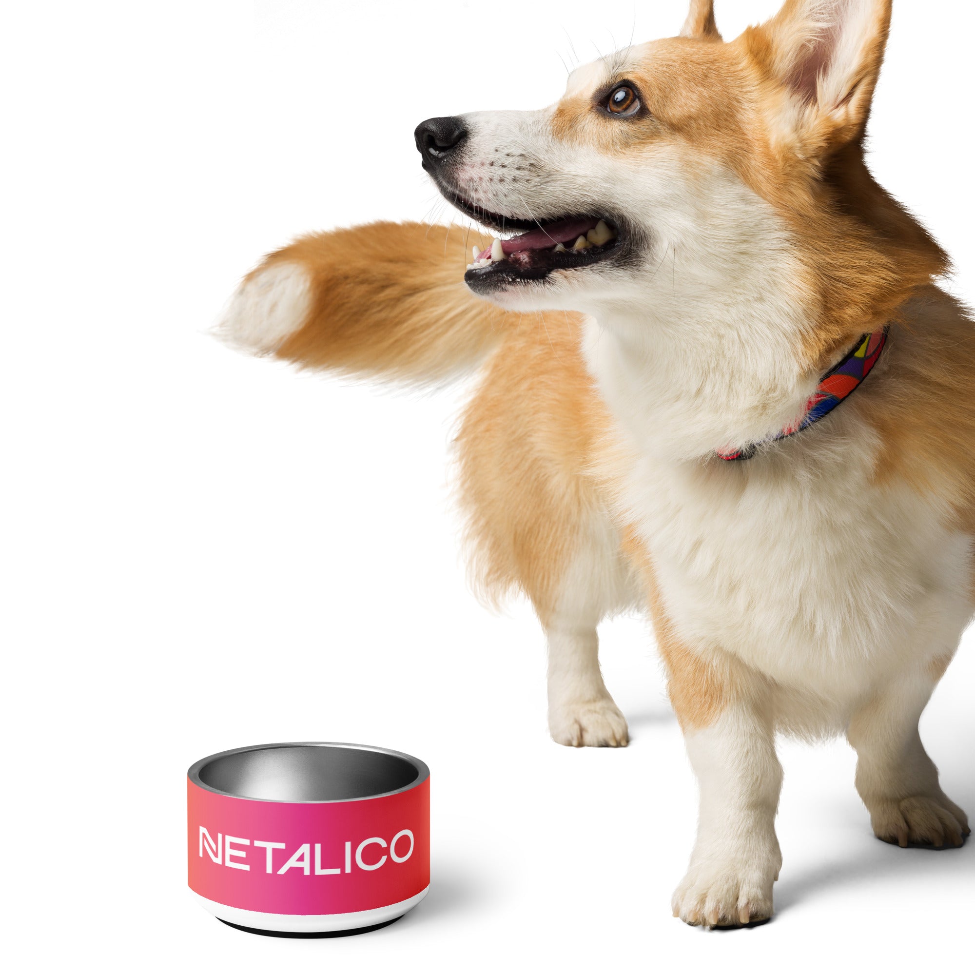 Netalico Pet Bowl