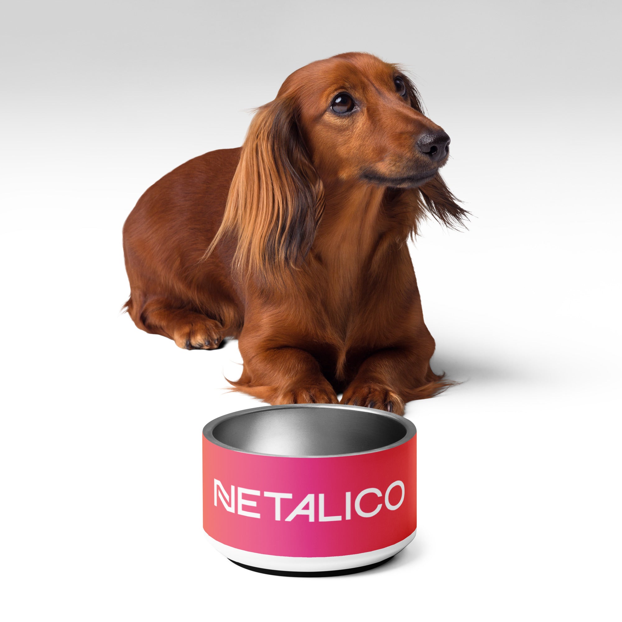 Netalico Pet Bowl