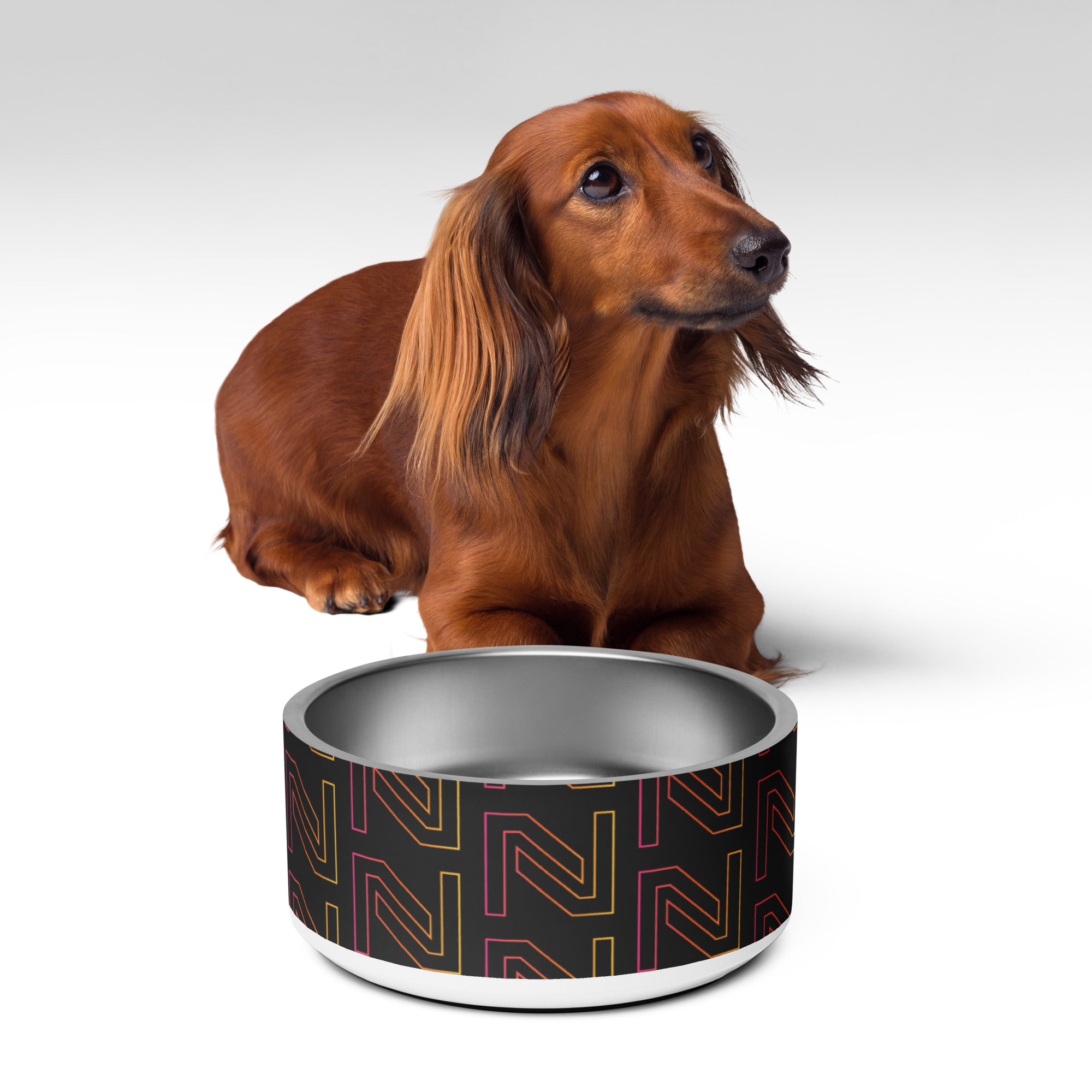 Netalico Pet Bowl