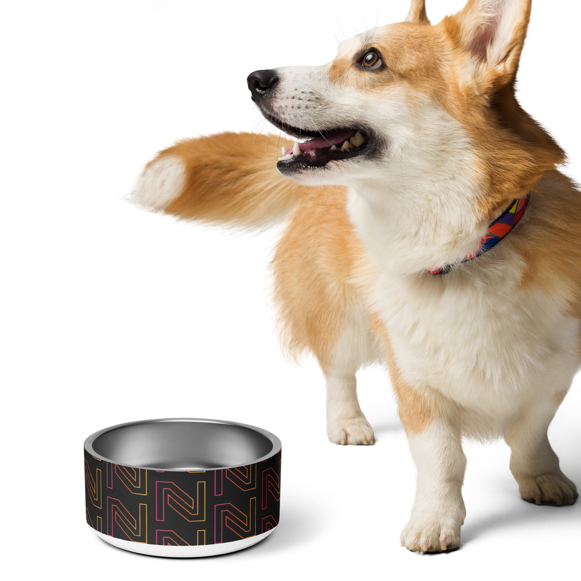 Netalico Pet Bowl
