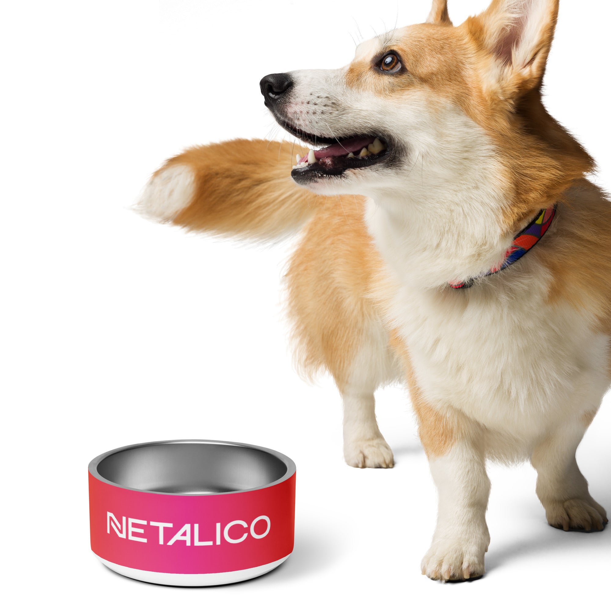Netalico Pet Bowl