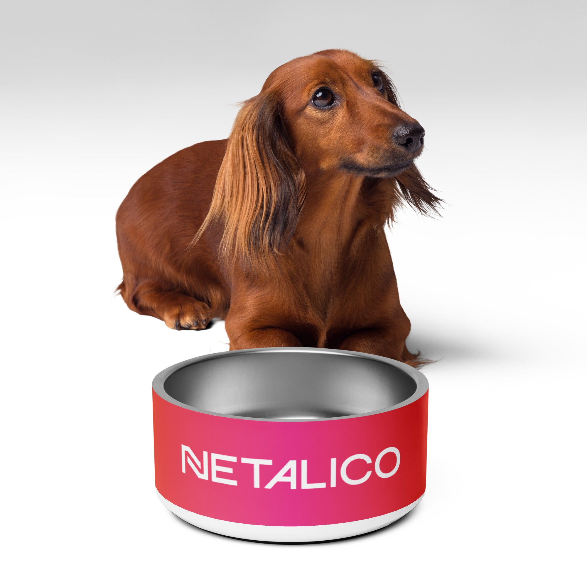 Netalico Pet Bowl
