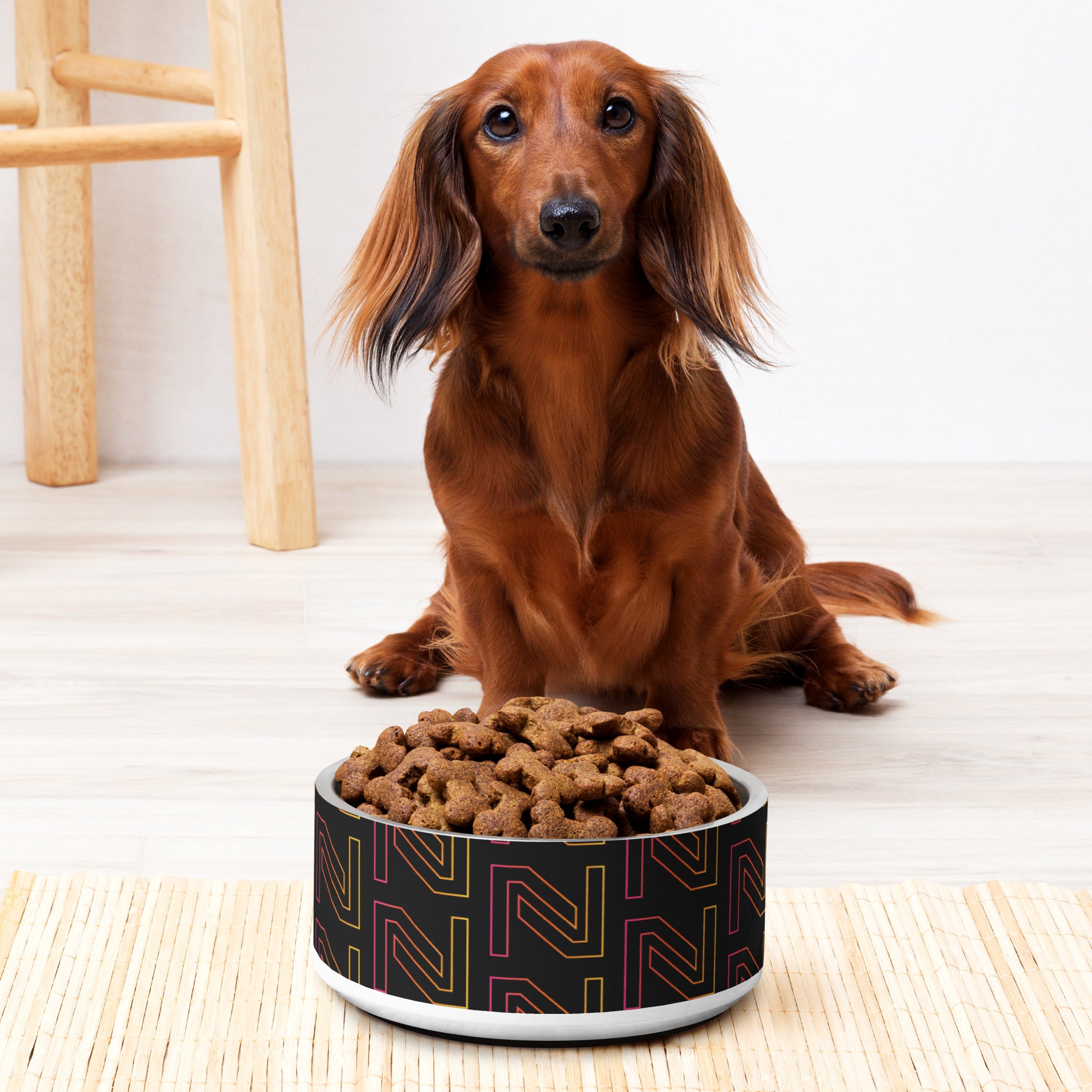 Netalico Pet Bowl