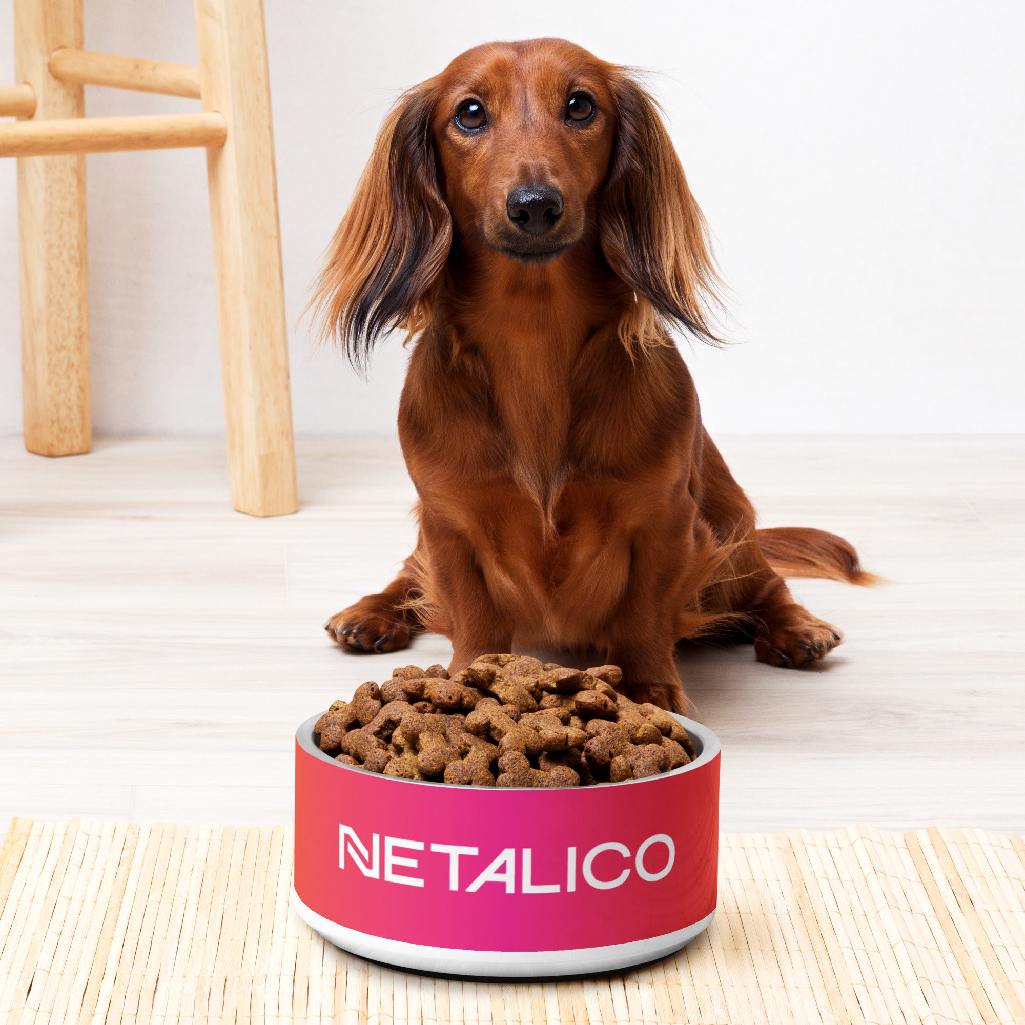 Netalico Pet Bowl